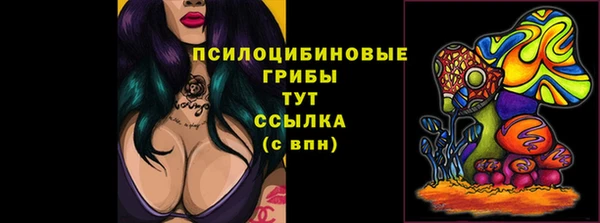 стаф Михайлов