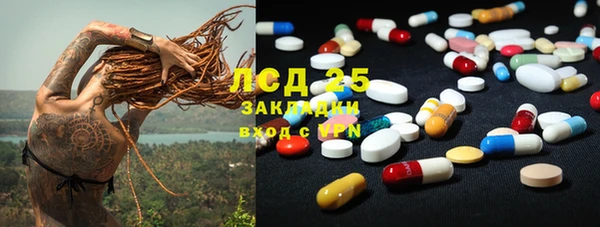 стаф Михайлов